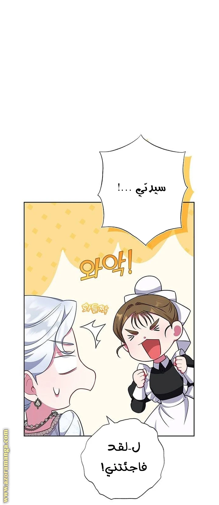 الصفحة 20