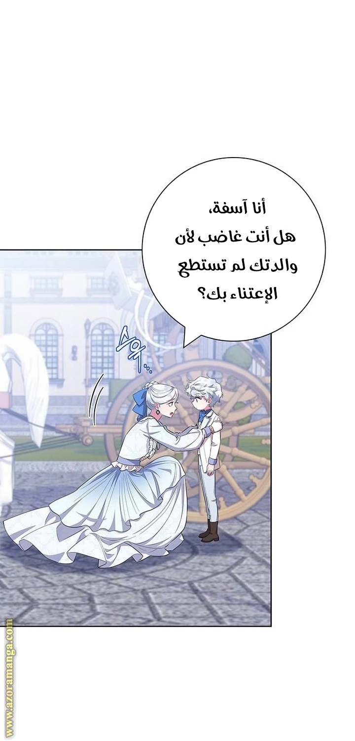 الصفحة 29