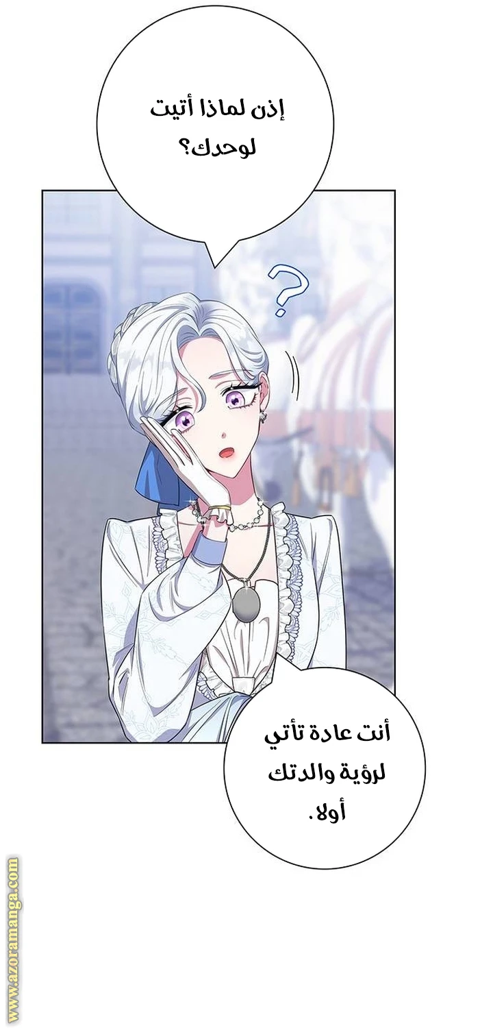 الصفحة 31
