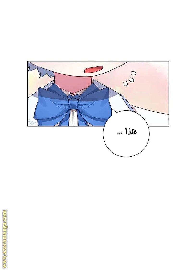 الصفحة 32
