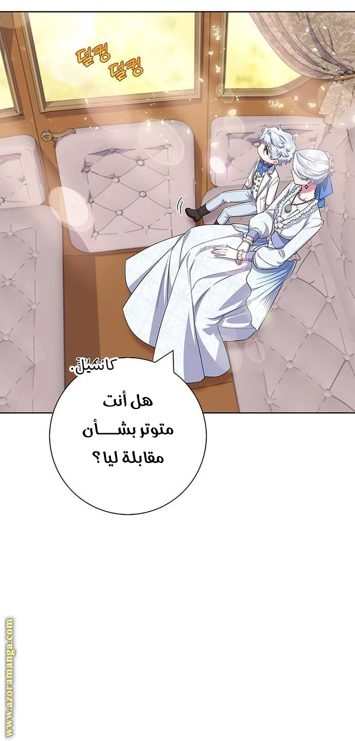 الصفحة 41