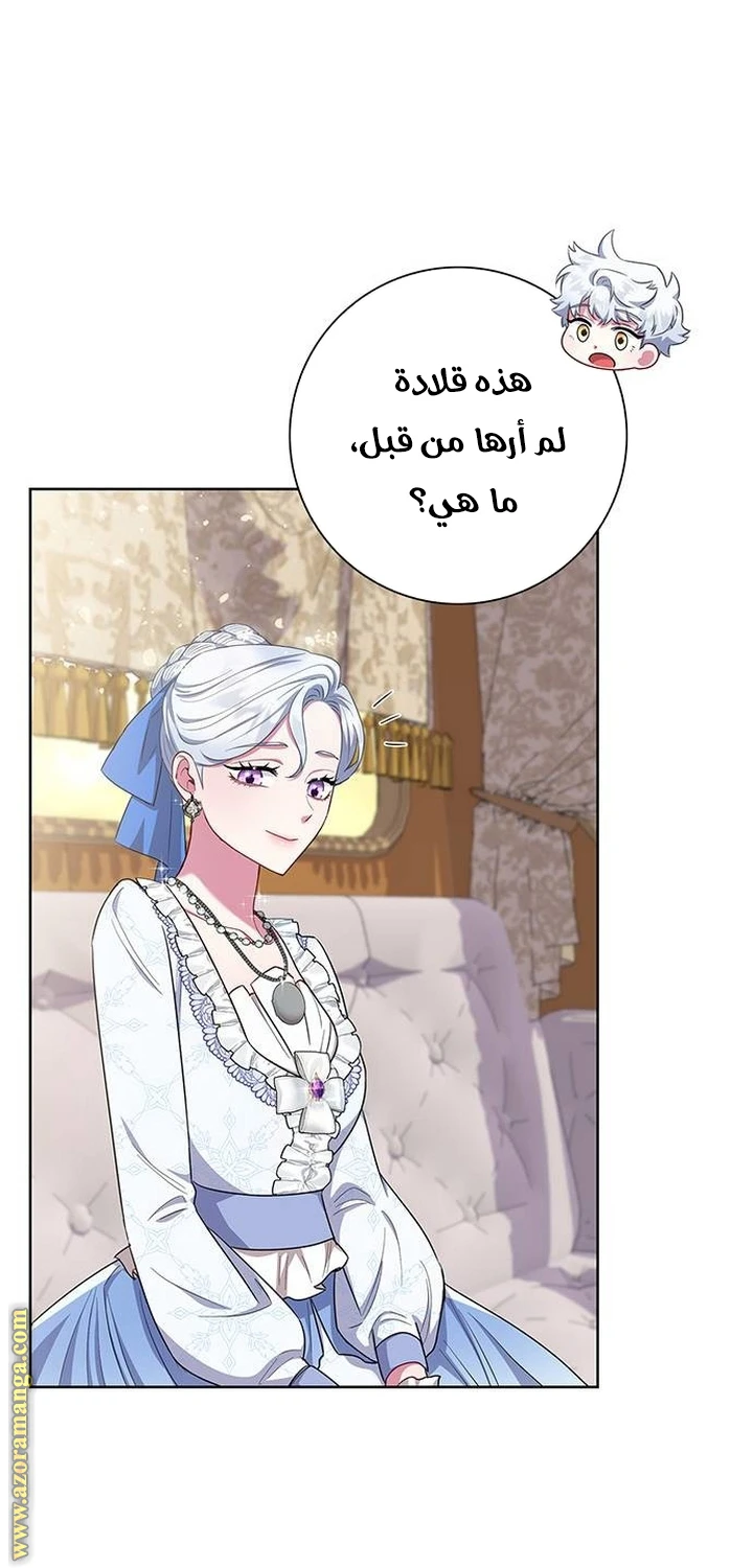 الصفحة 46