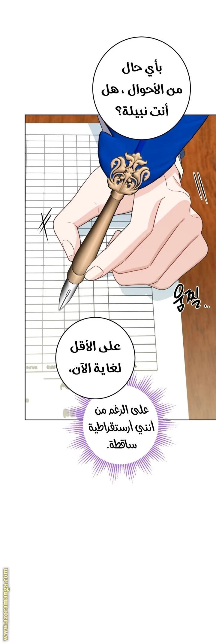 الصفحة 27