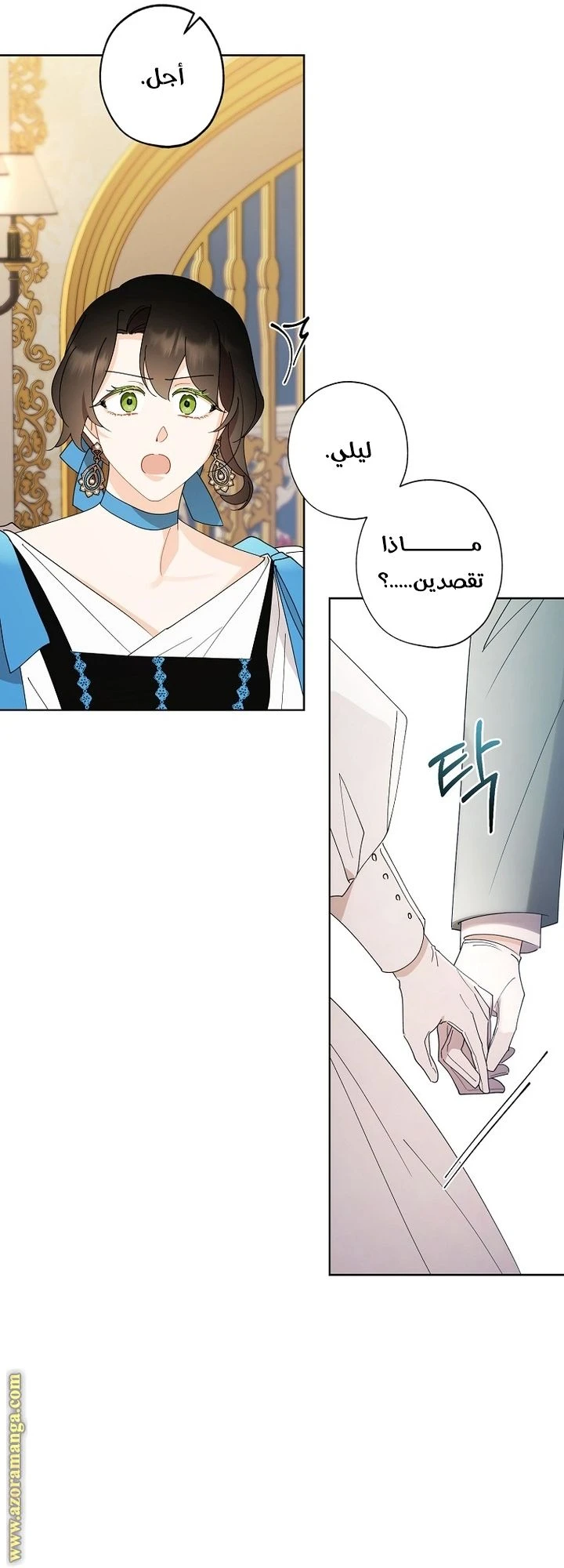 الصفحة 25