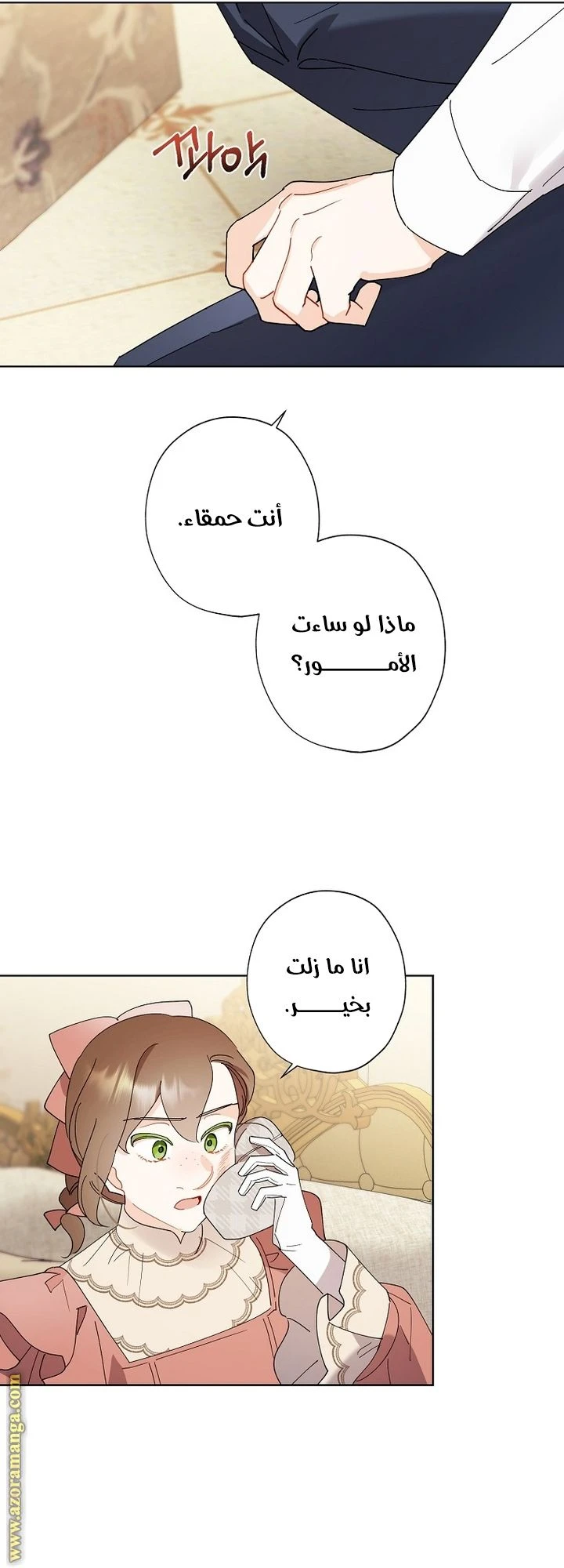 الصفحة 30
