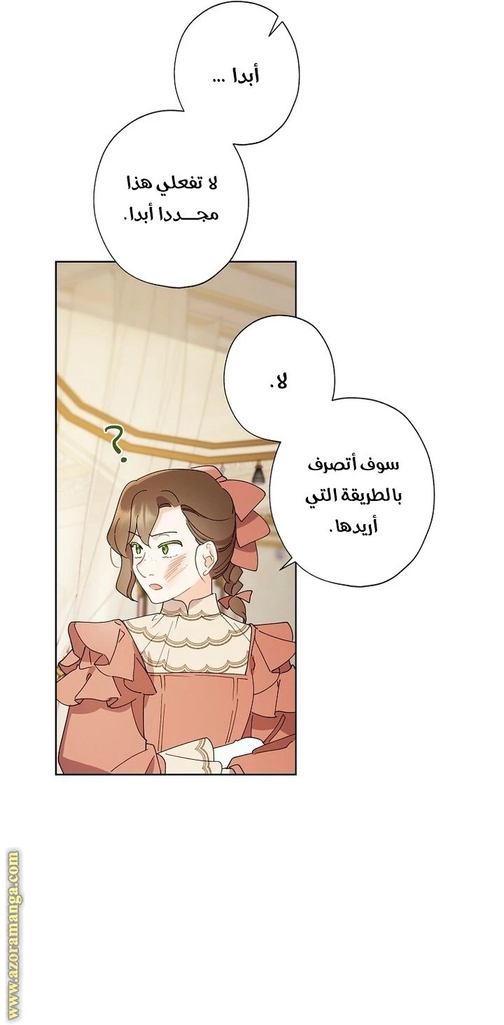 الصفحة 43
