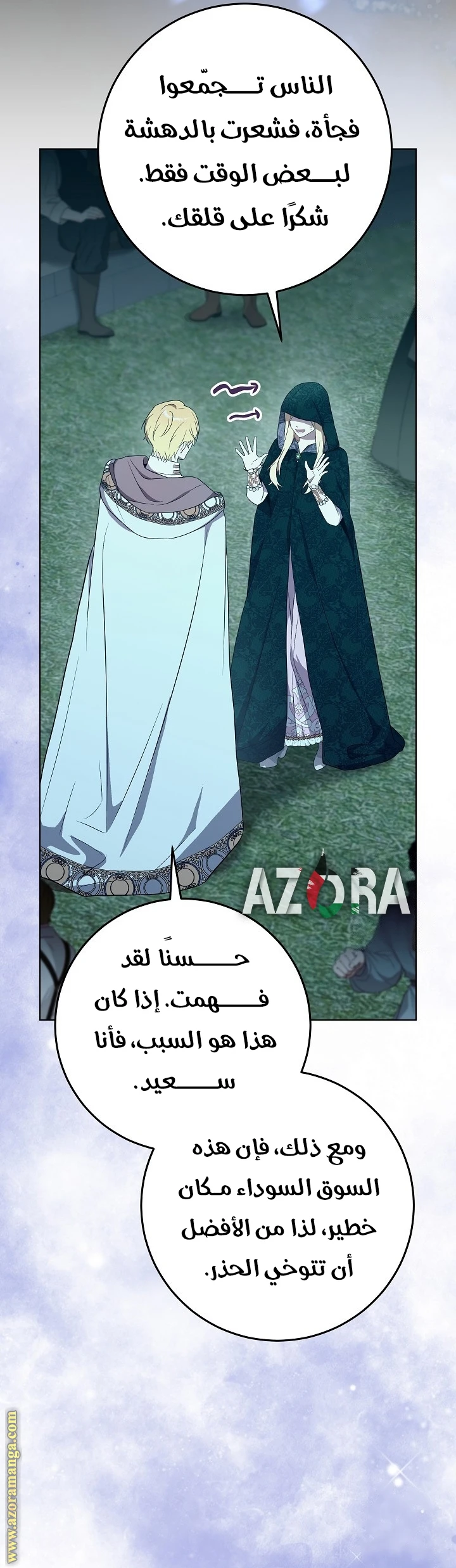 الصفحة 13