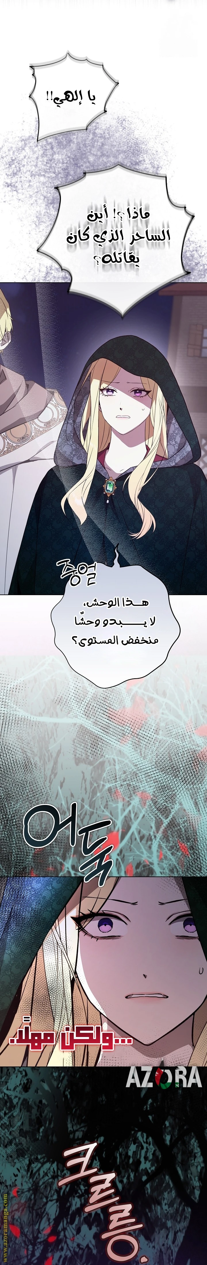 الصفحة 16