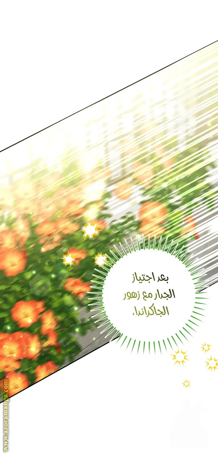 الصفحة 35