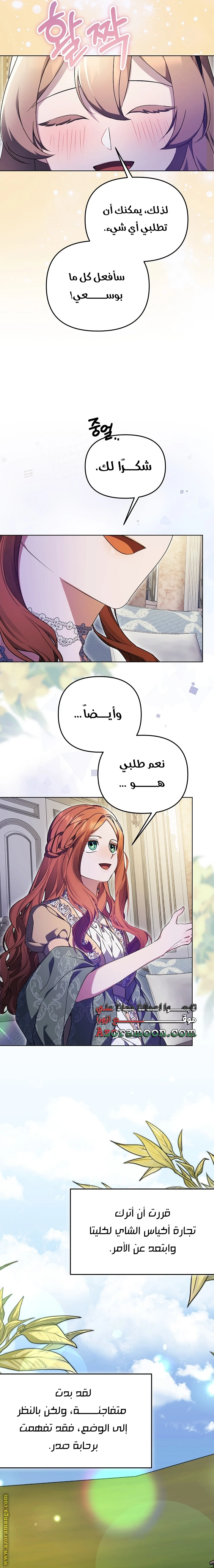 الصفحة 17