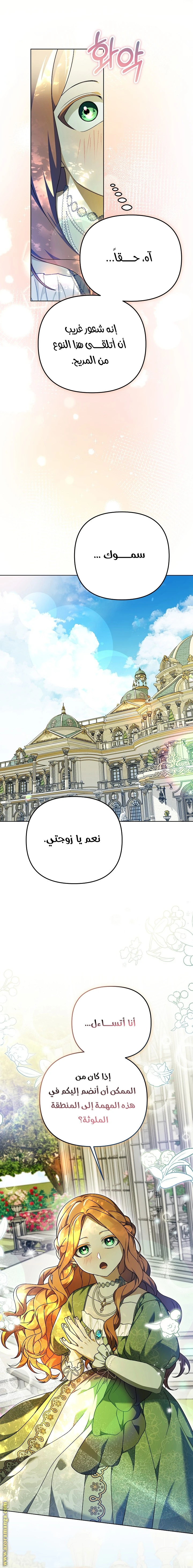 الصفحة 20