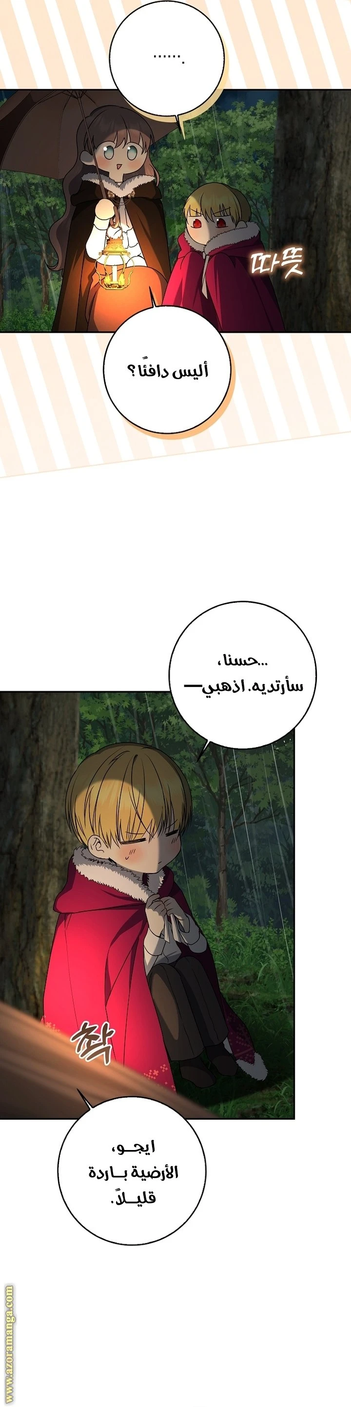 الصفحة 12