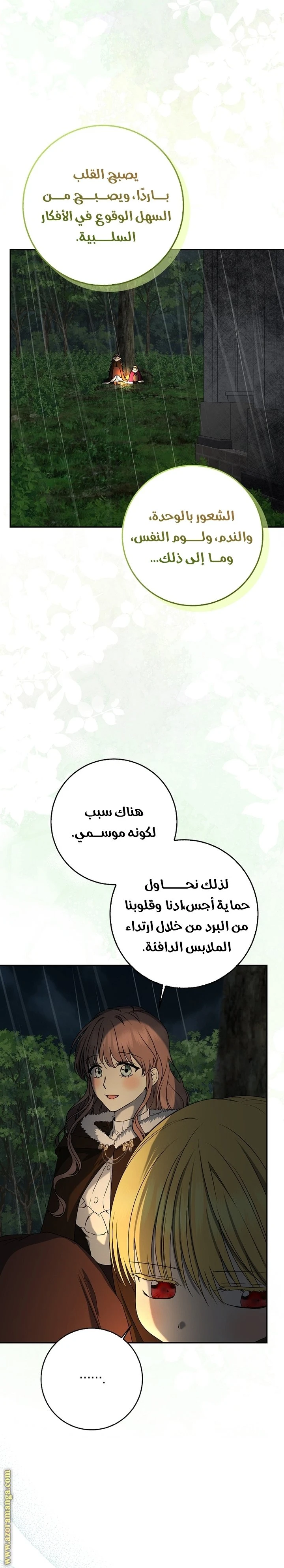 الصفحة 17