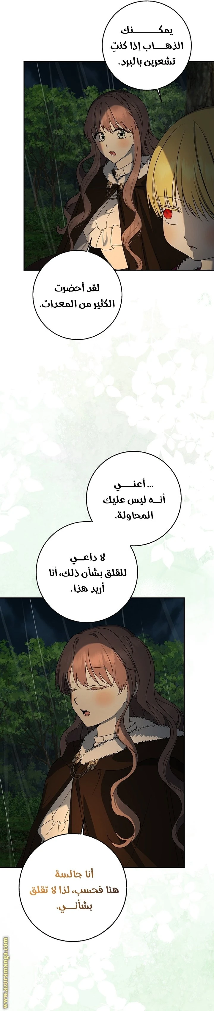 الصفحة 19