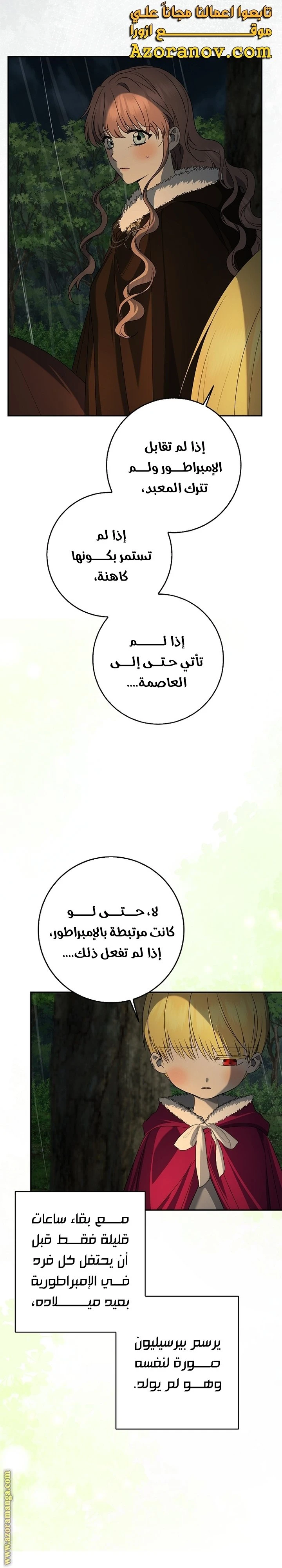 الصفحة 29