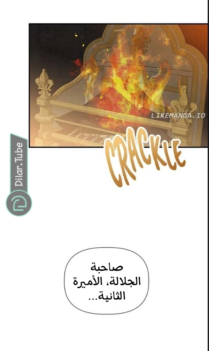 الصفحة 43