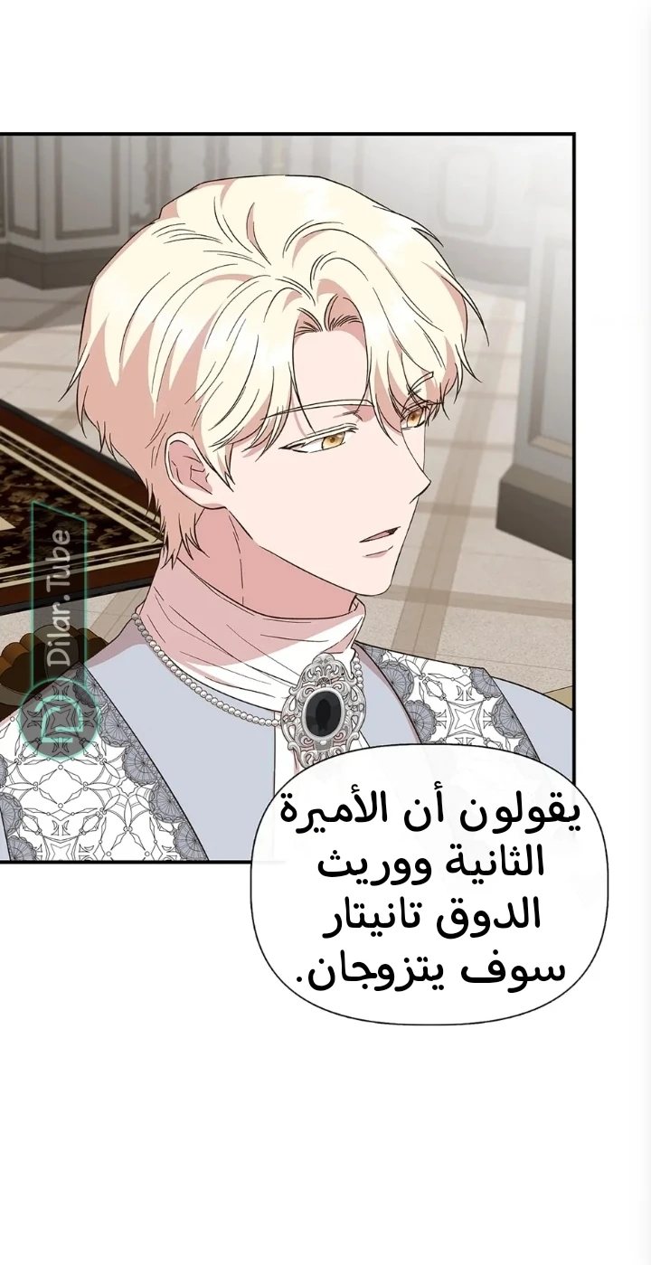 الصفحة 45