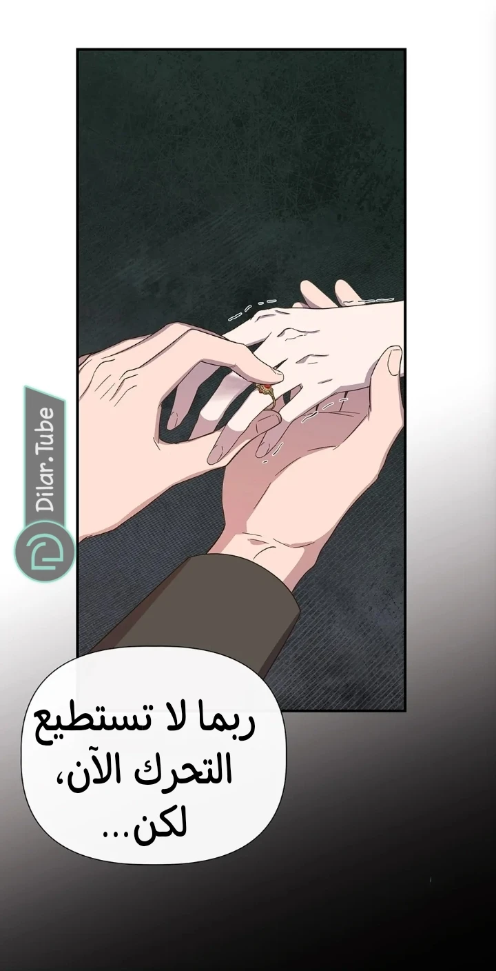 الصفحة 46