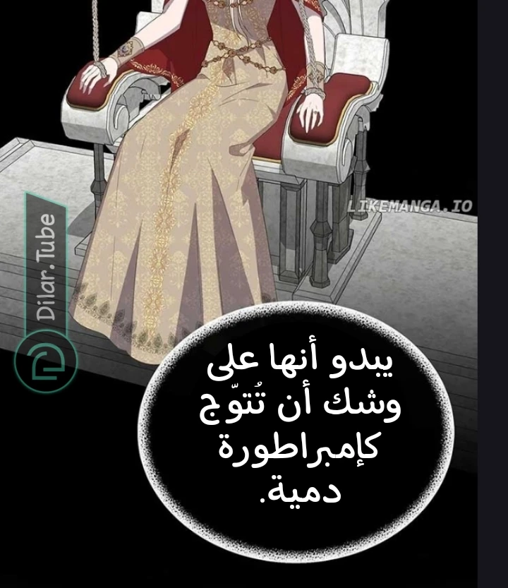 الصفحة 48