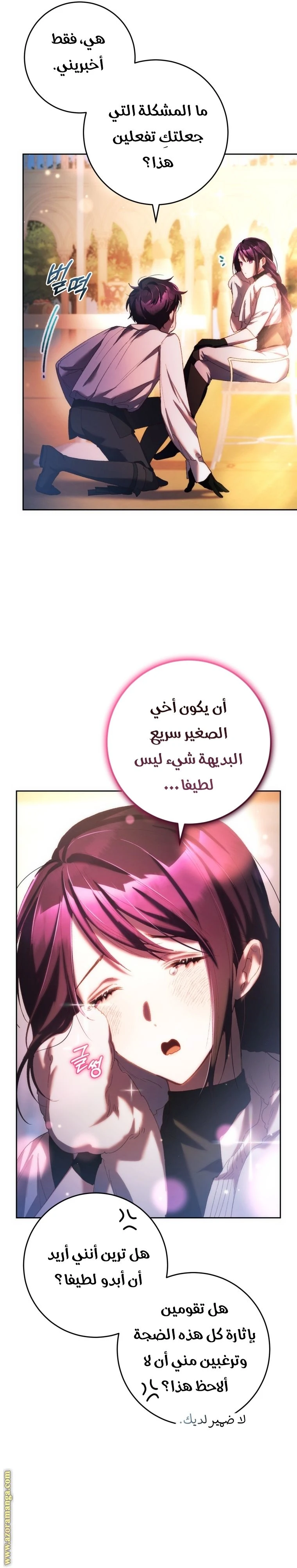 الصفحة 12