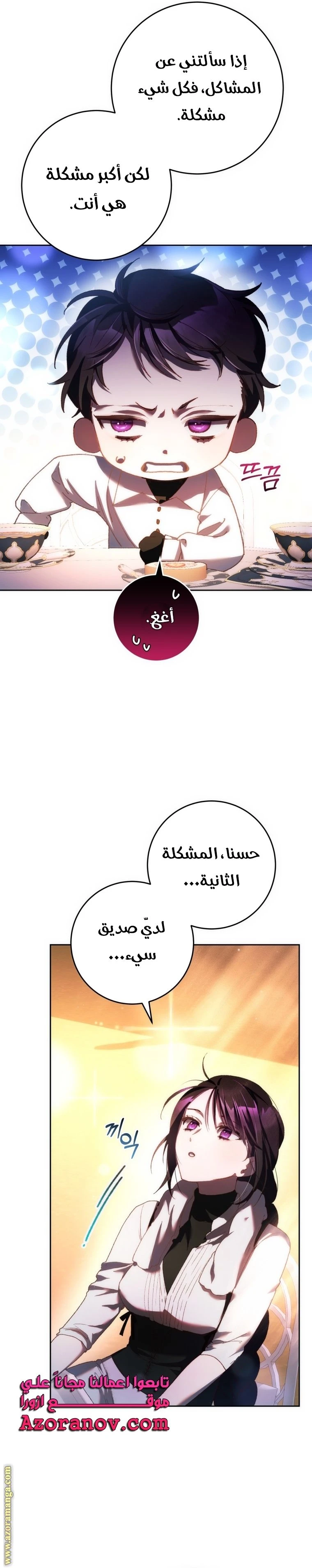 الصفحة 14