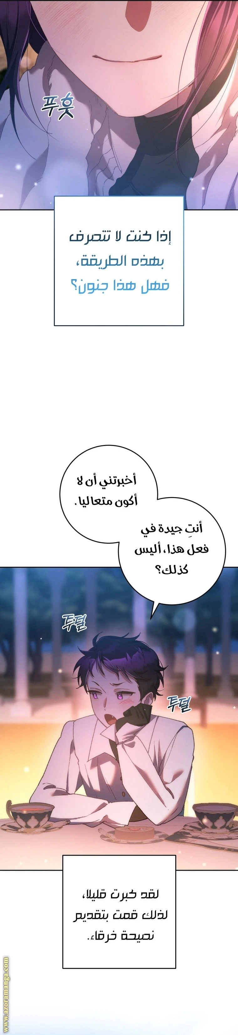 الصفحة 25