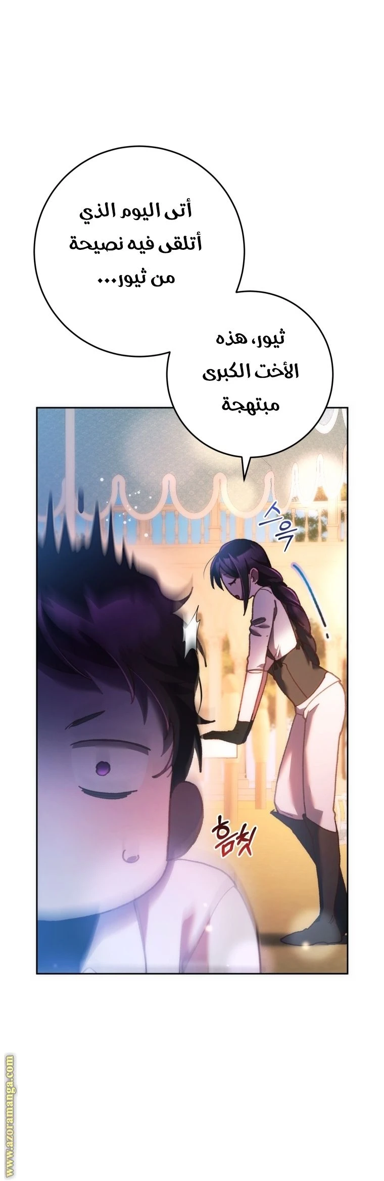 الصفحة 28