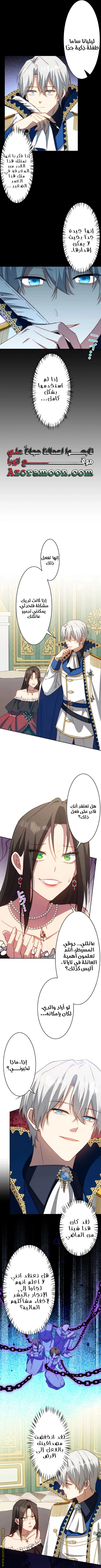 الصفحة 5