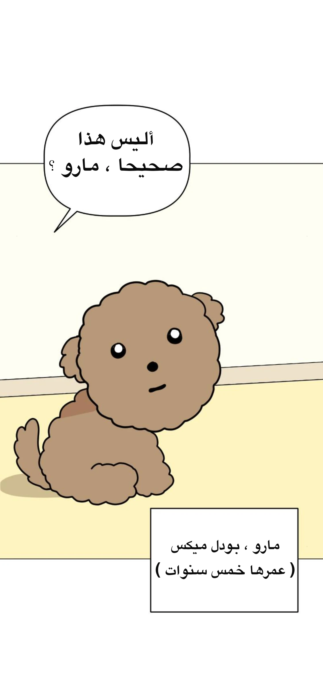 الصفحة 10