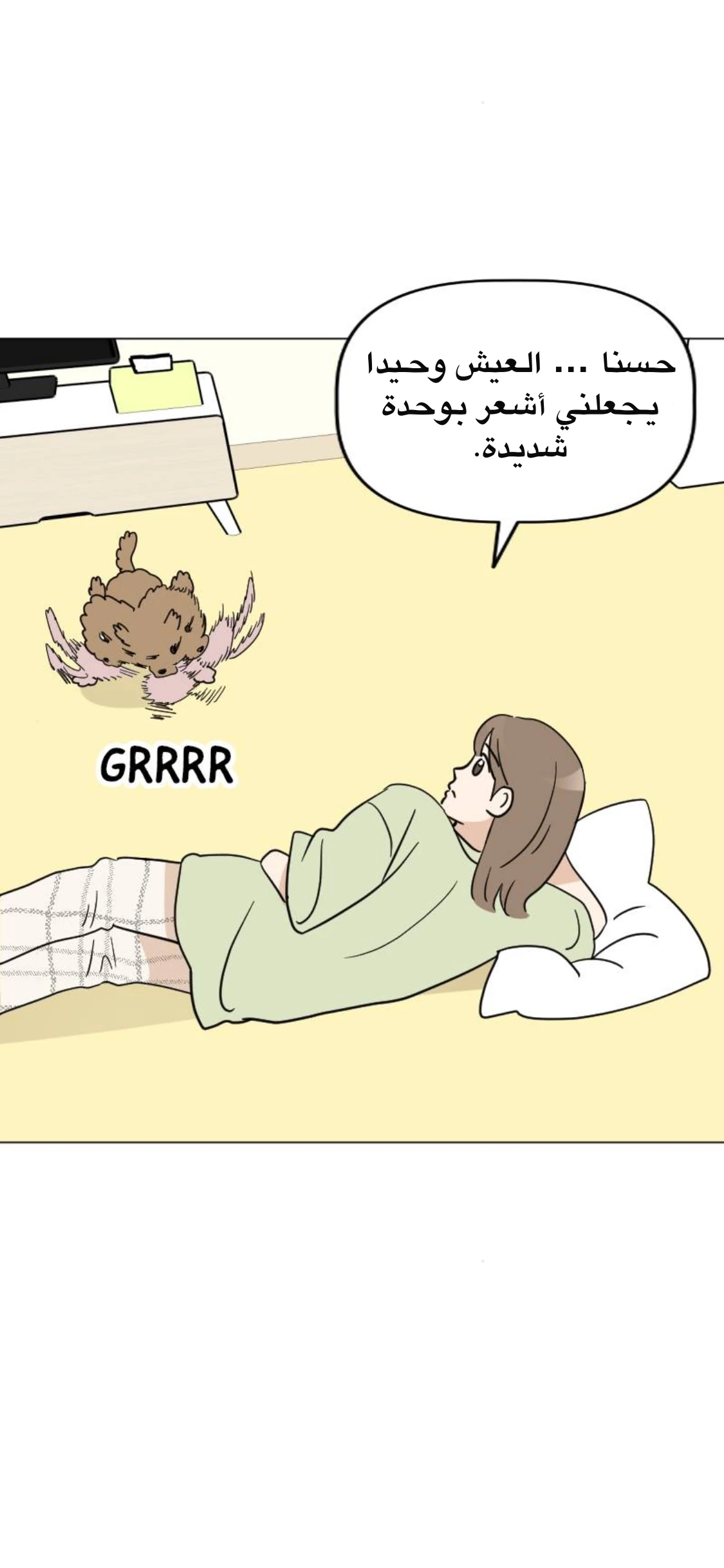 الصفحة 11