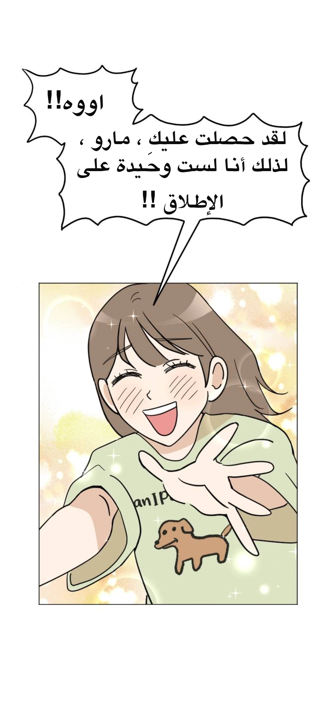 الصفحة 13