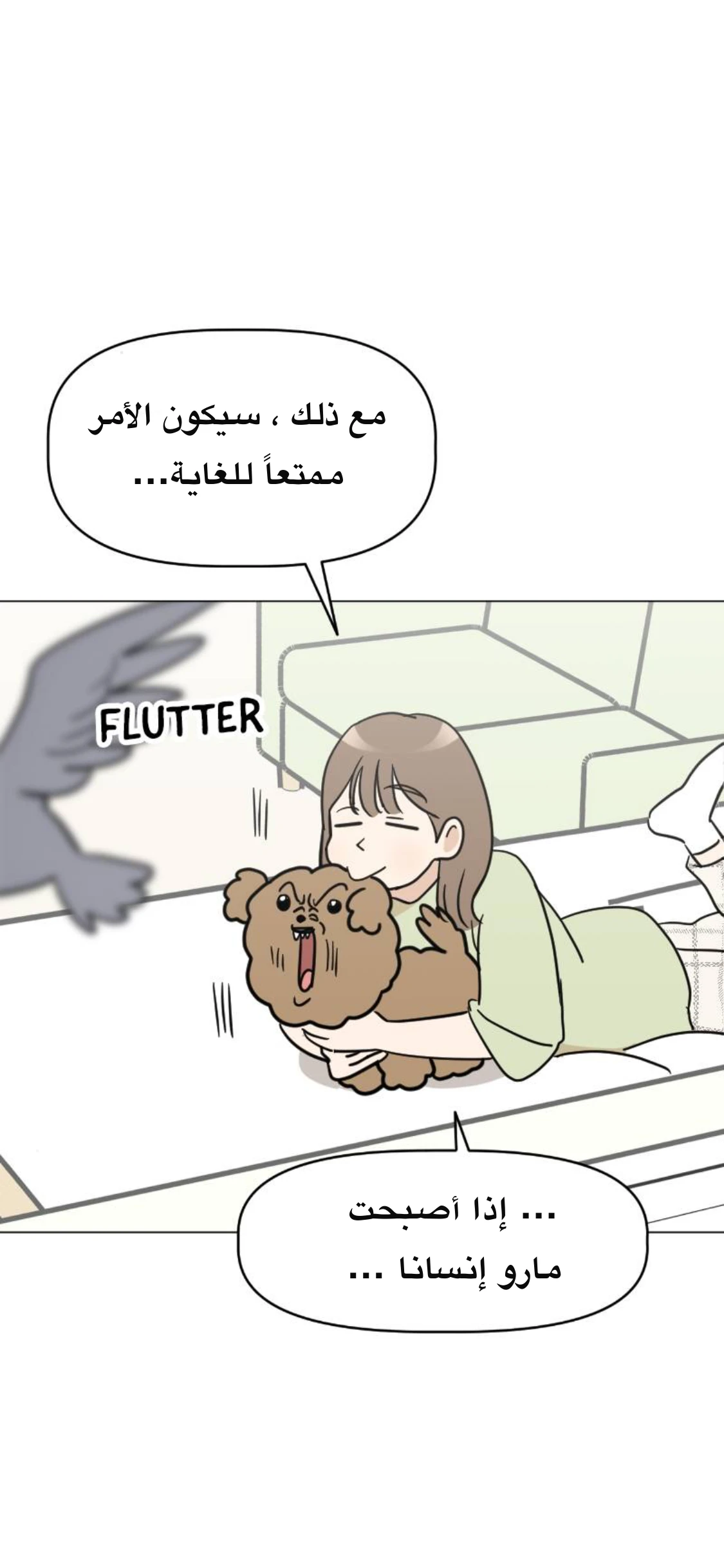 الصفحة 16