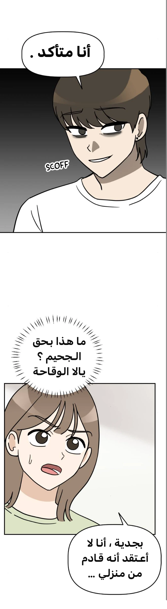 الصفحة 26