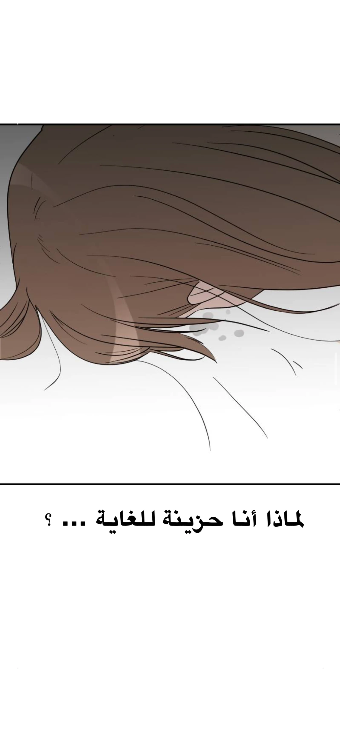 الصفحة 43