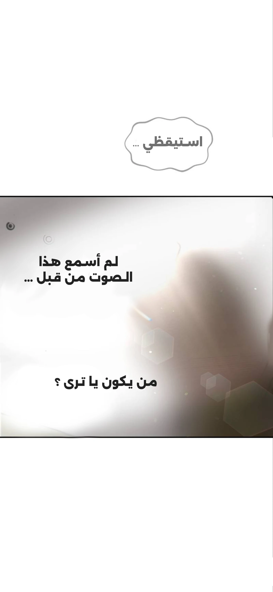 الصفحة 52