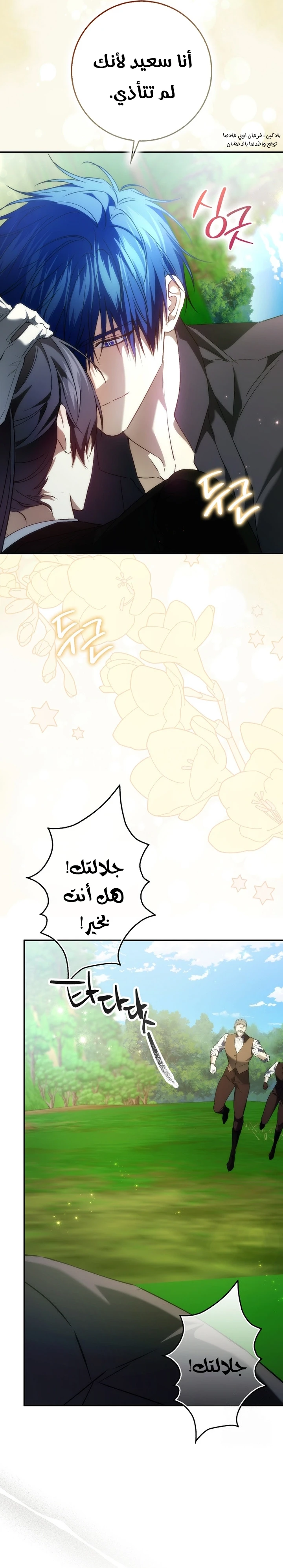 الصفحة 17