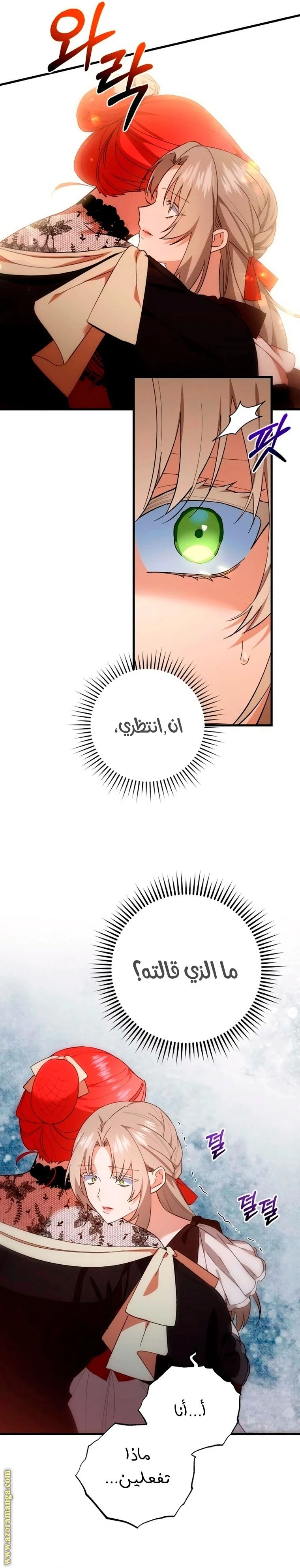 الصفحة 29