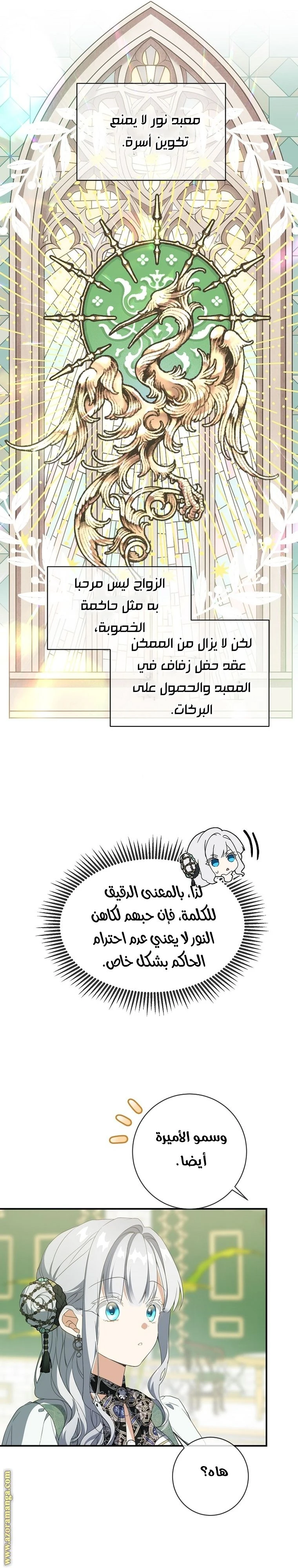 الصفحة 24