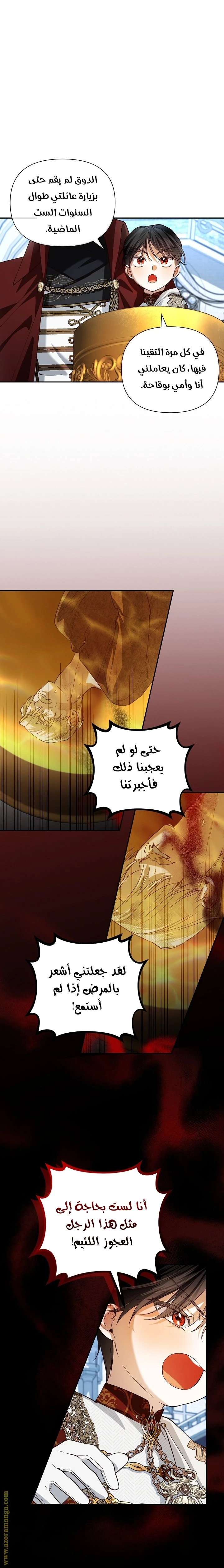الصفحة 19