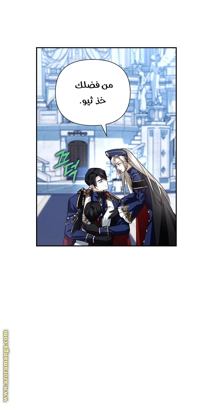 الصفحة 31