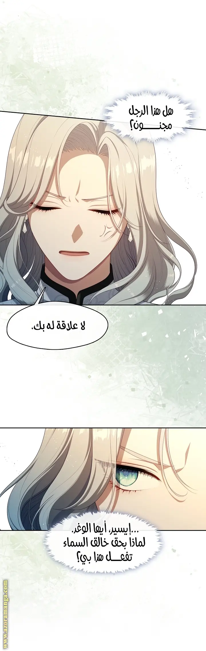 الصفحة 17