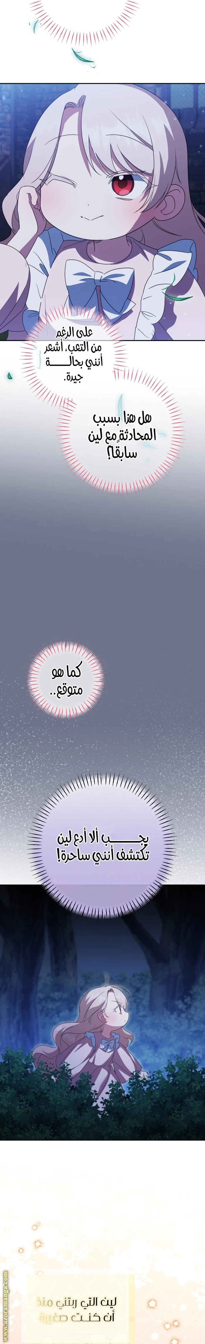 الصفحة 17
