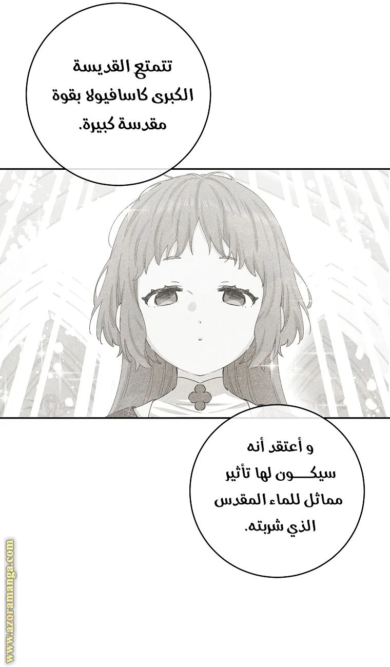 الصفحة 52