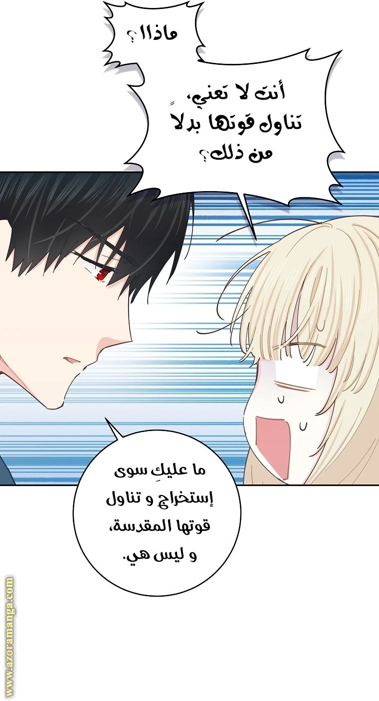 الصفحة 53