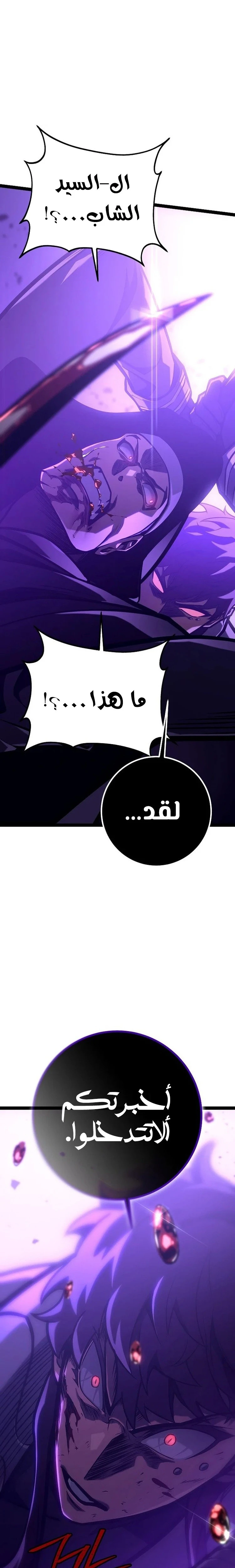 الصفحة 31