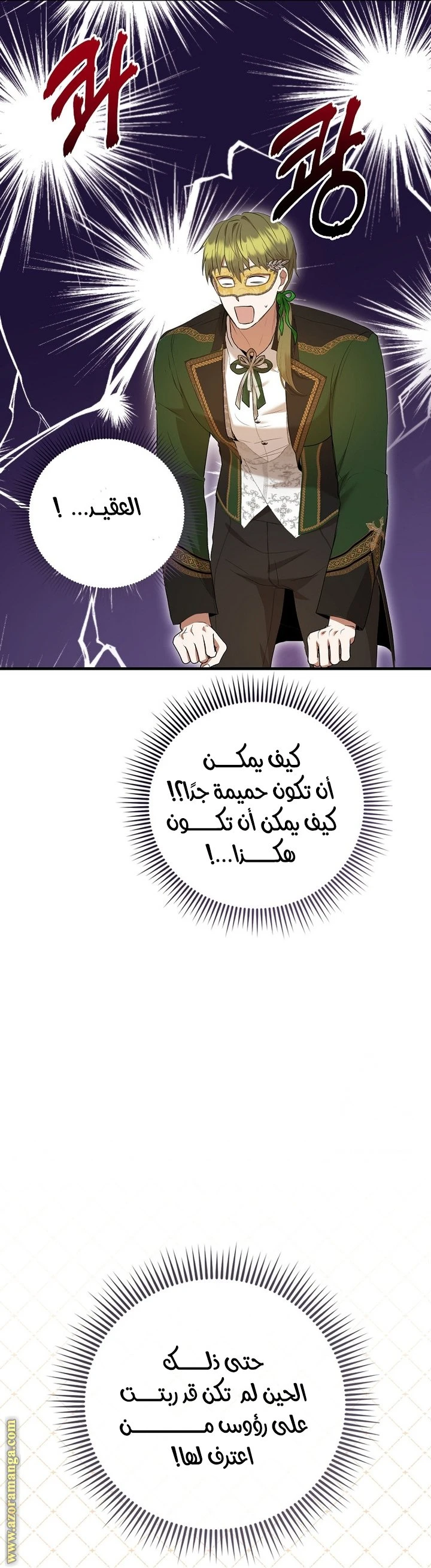 الصفحة 29