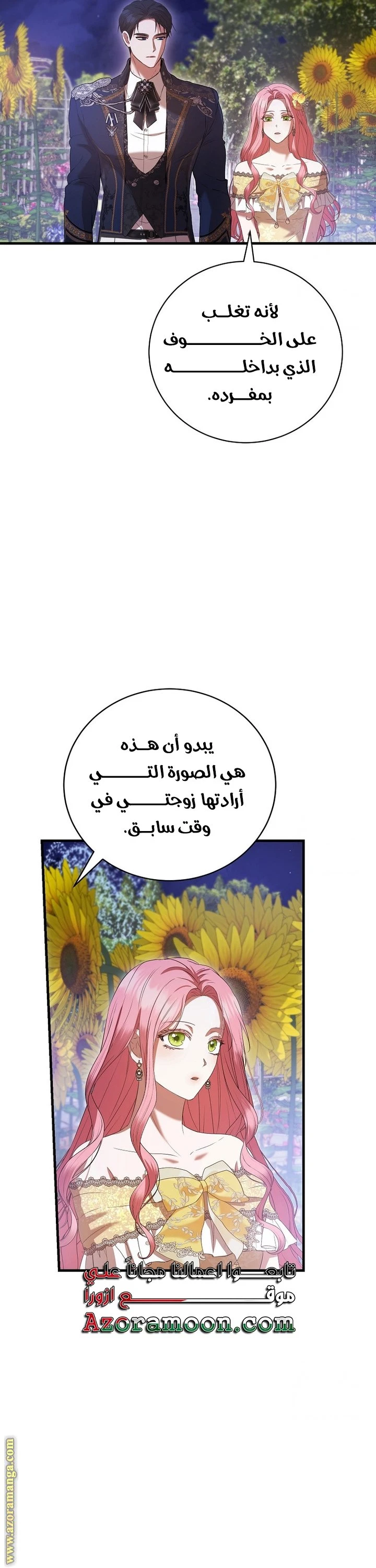 الصفحة 43