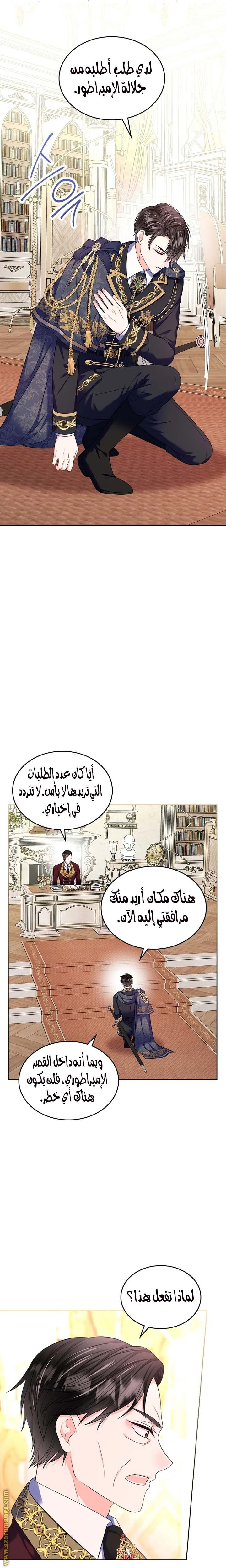 الصفحة 13