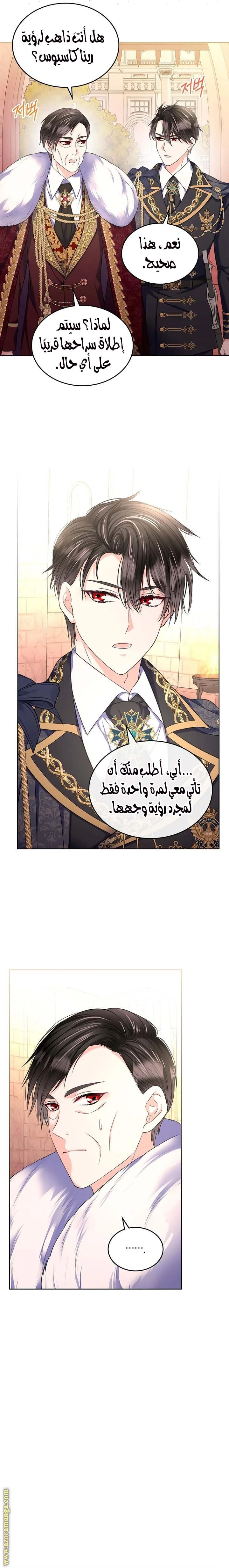 الصفحة 17