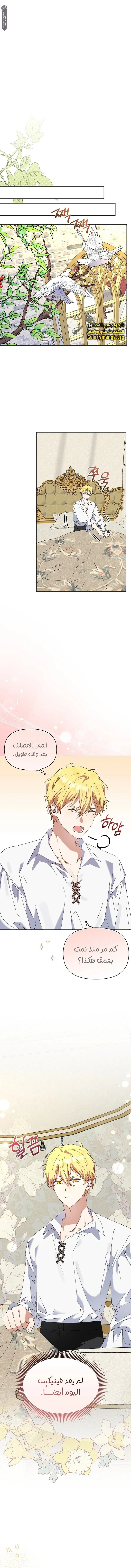 الصفحة 8